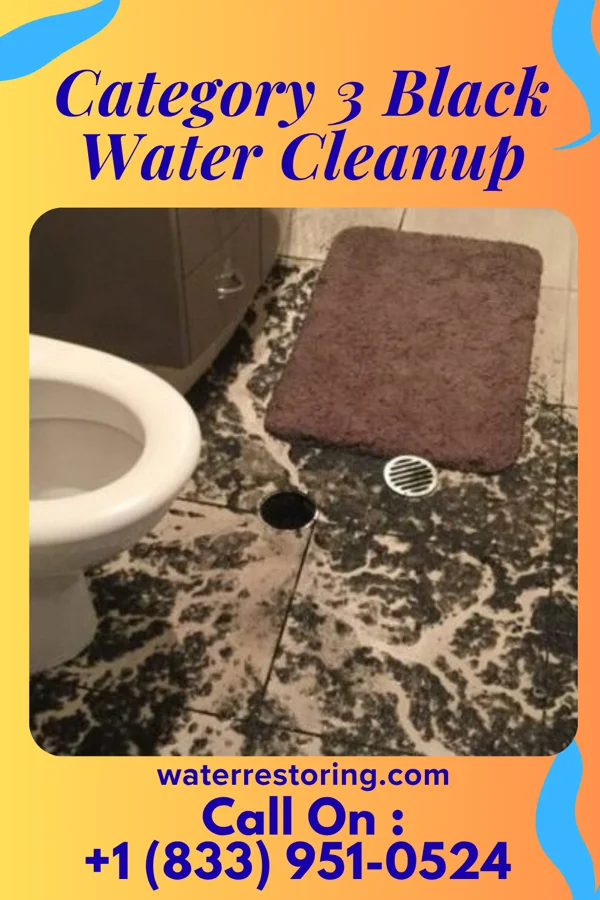 Category 3 Black Water Cleanup in Greenville, NC