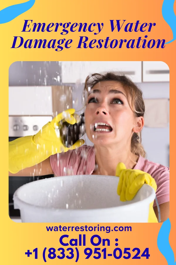 Emergency Water Damage Restoration in Greenville, NC