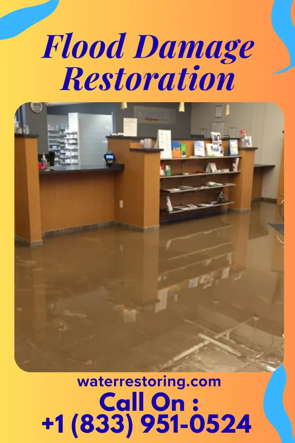 Flood Damage Restoration in Greenville, NC