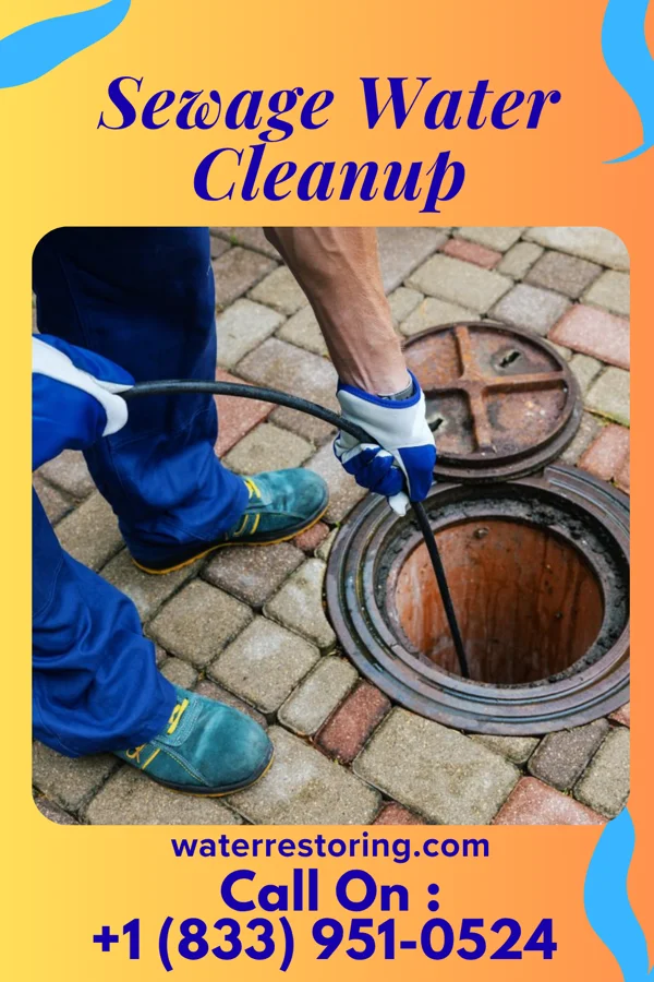 Sewage Water Cleanup in Greenville, NC