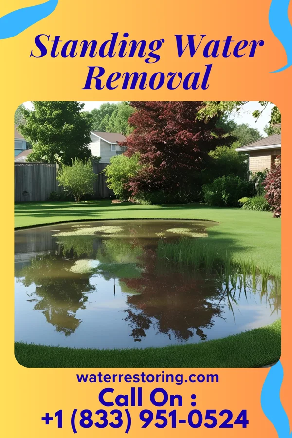 Standing Water Removal in Greenville, NC